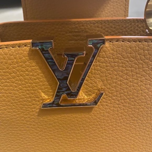 *AUTHENTIC* Louis Vuitton Mini Taurillon Capucines - Orange with Mother of Pearl - Picture 6 of 10